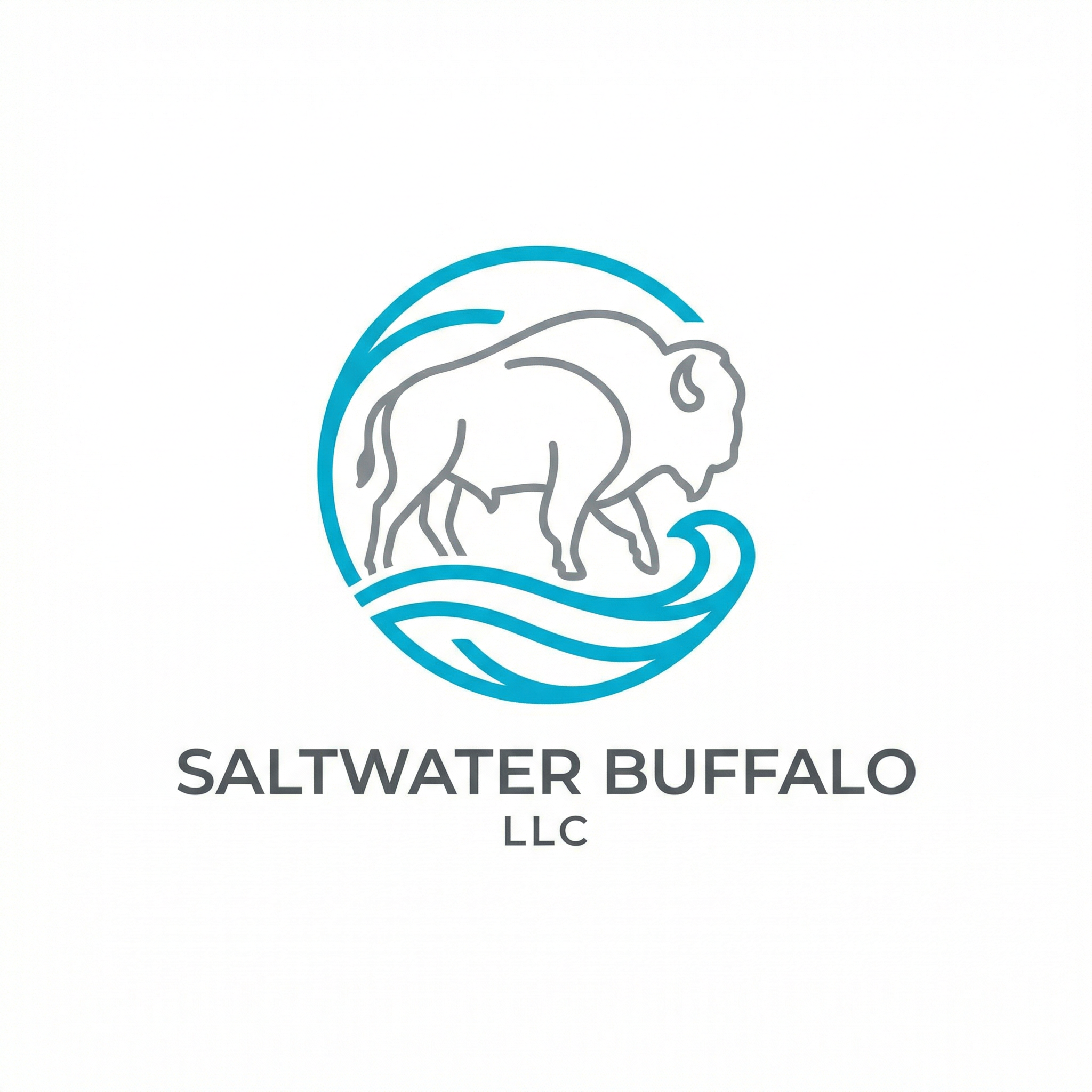 Saltwater Buffalo LLC